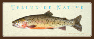 Telluride Native print