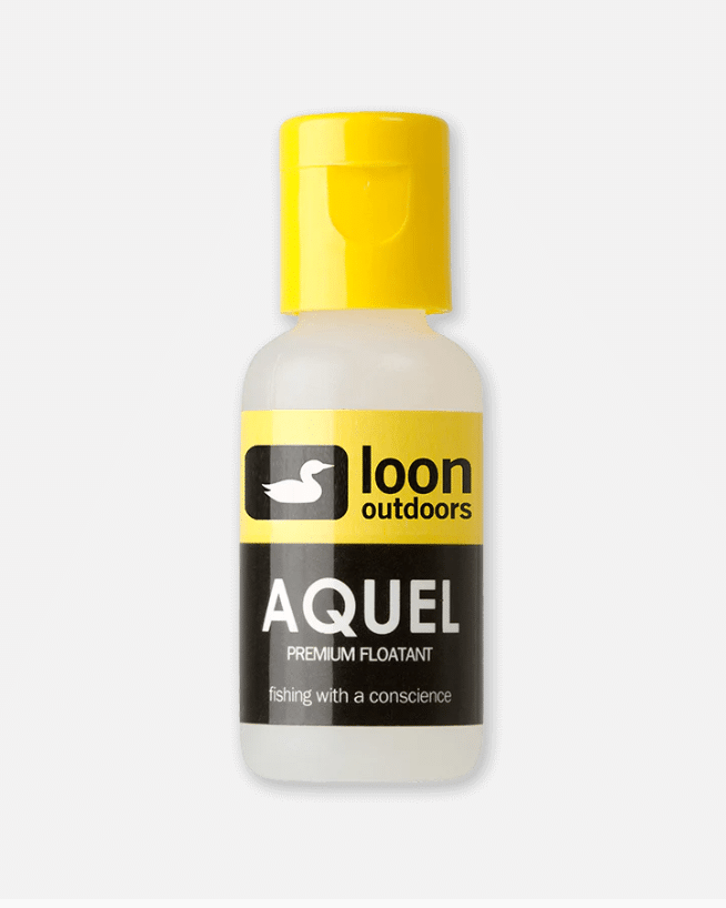 Loon 2025 10 30 153353