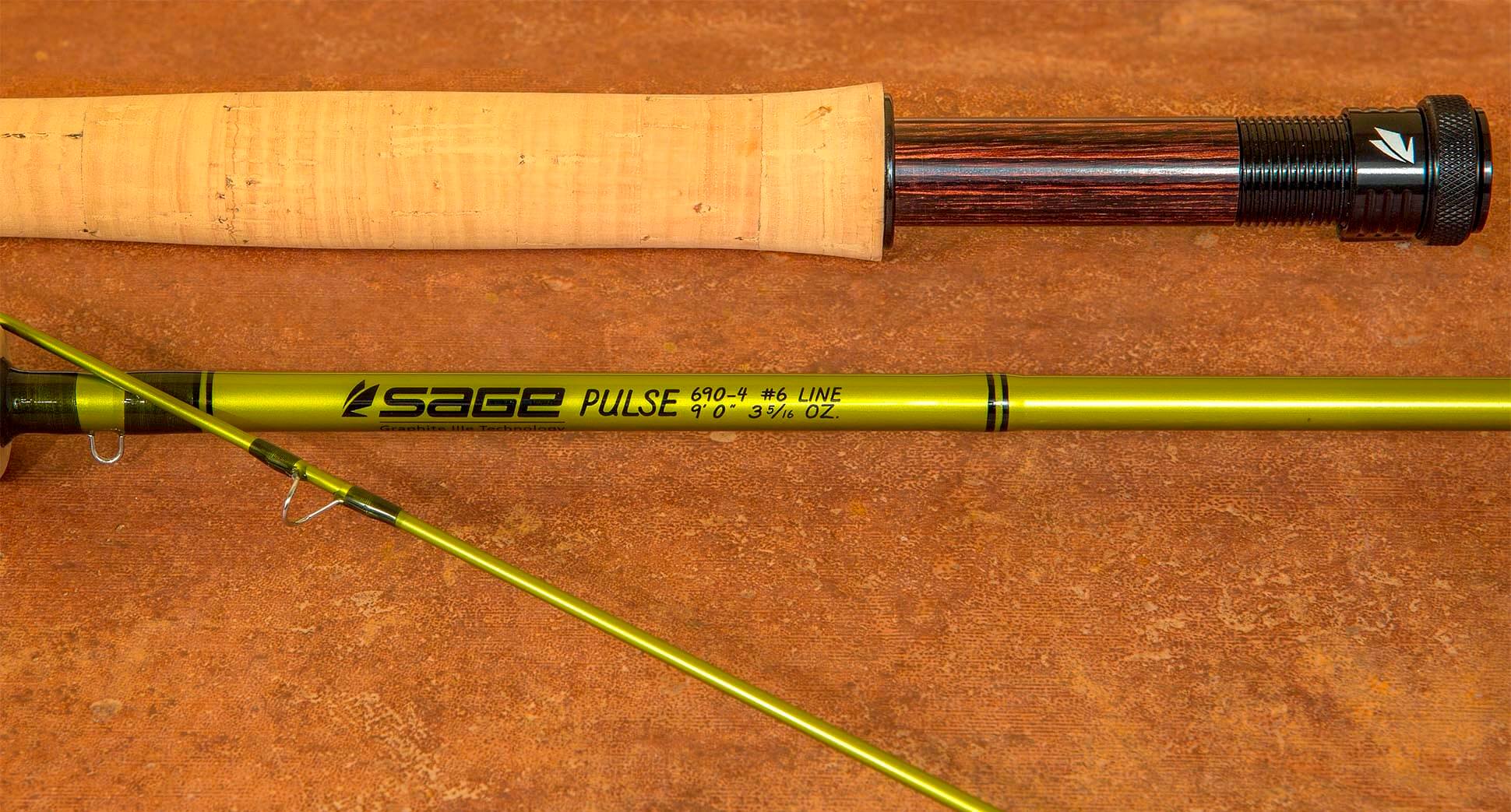 The Sage Pulse offers much more than its modest price.