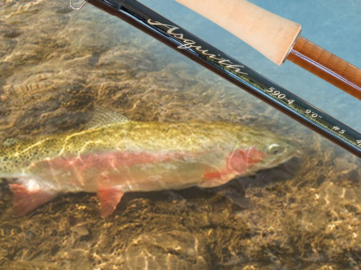 Loomis Asquith Fly Rod Review Article