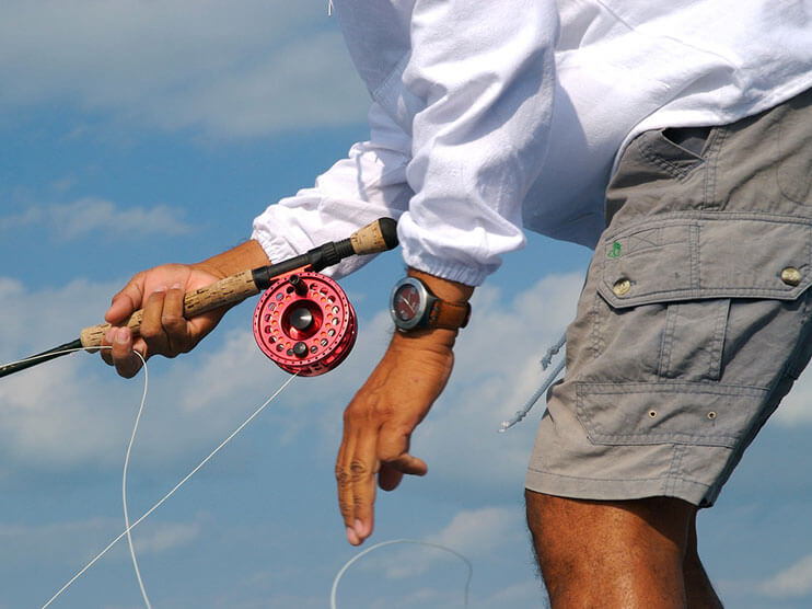 Saltwater Rod And Reel Guide Article