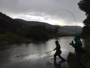 Last fish of the day -- Telluride Angler guides in their back yard.