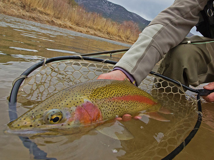 Top 10 Fly Fishing Products for 2019