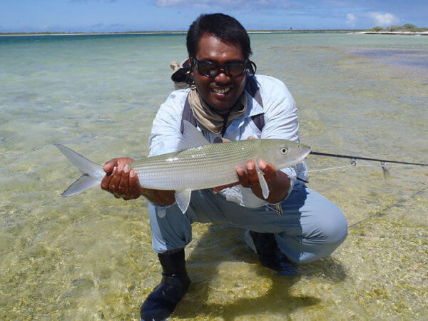 Guide With Nice Bone