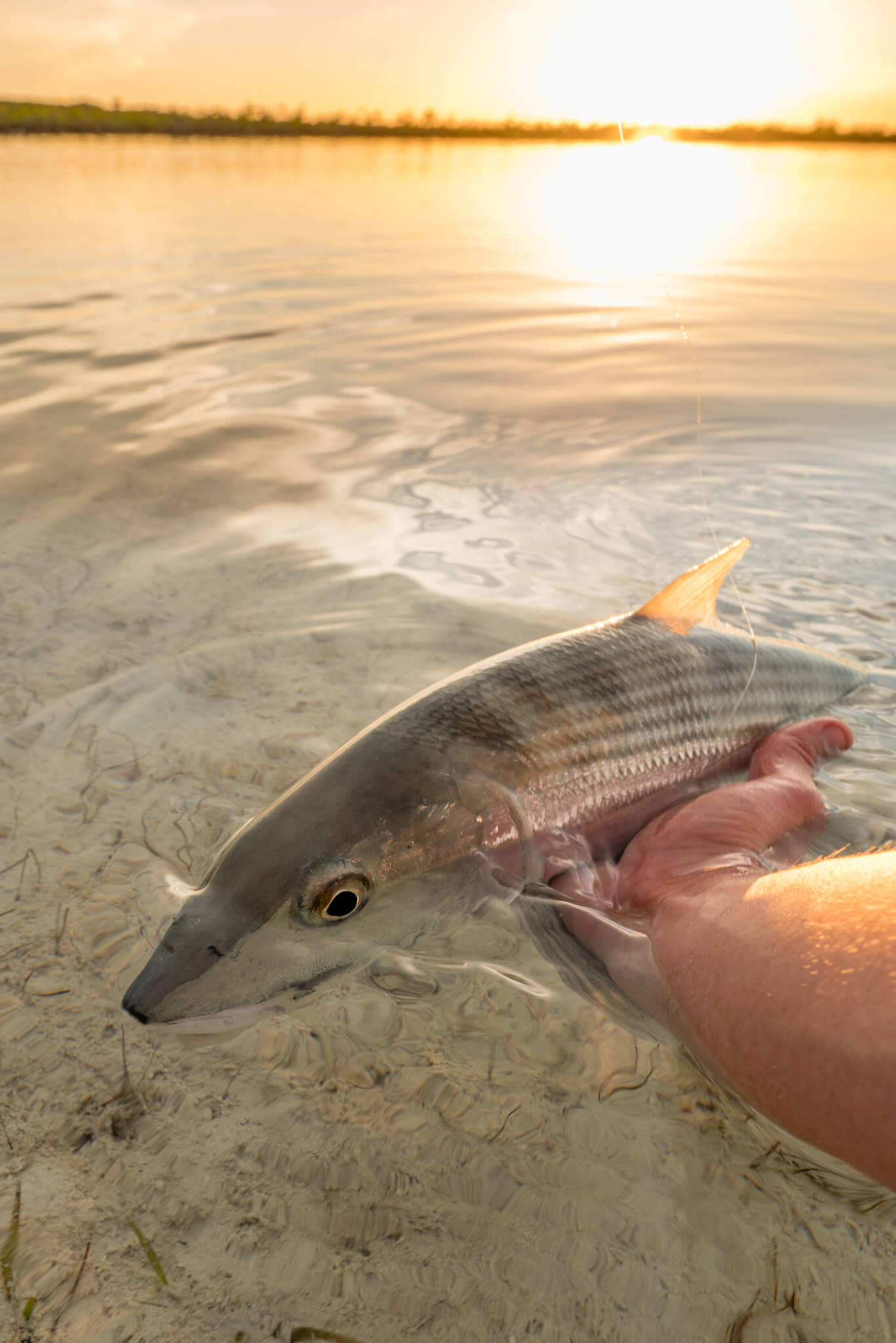 Bonefish  Solar Long Sleeve Shirt - Fly Fishing Journeys