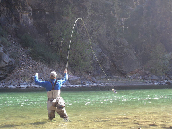 Troy In Gunnison Jumping Fish