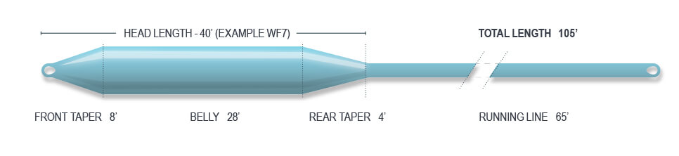 Airflo Cold Saltwater Intermediate Fly Line - Universal Taper, Ridge Tech Coating, For Inshore & Cold Weather Fishing