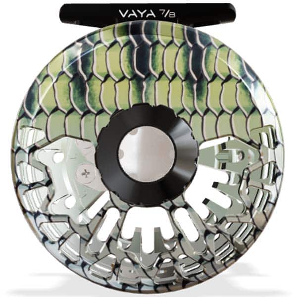 Vaya78bonefish