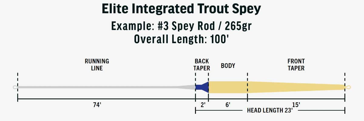 Integrated Trout Spey Taper