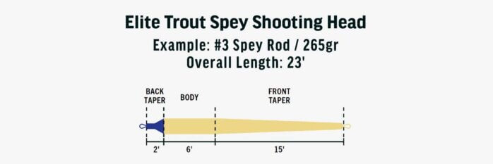 Trout Spey Shooting Head Taper