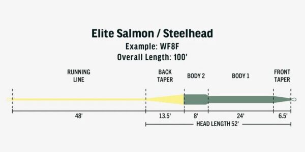 FW Elite Salmon Steelhead Fly Line Taper