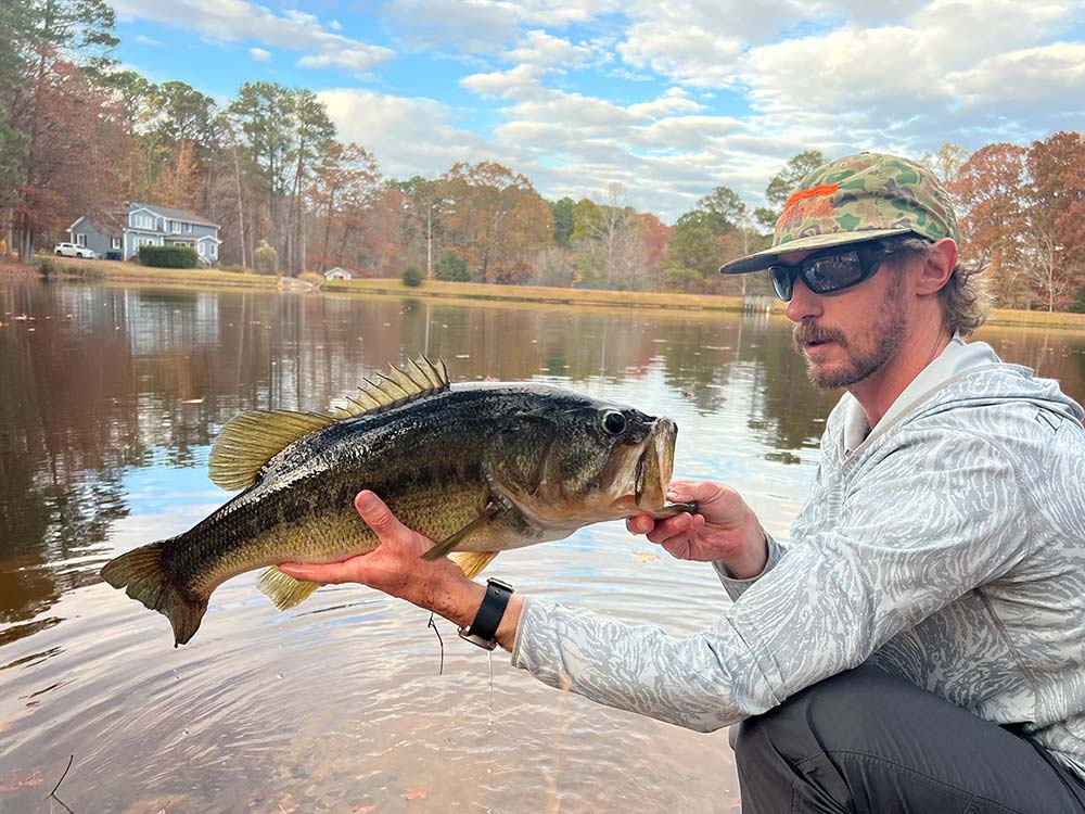 Richpostbass